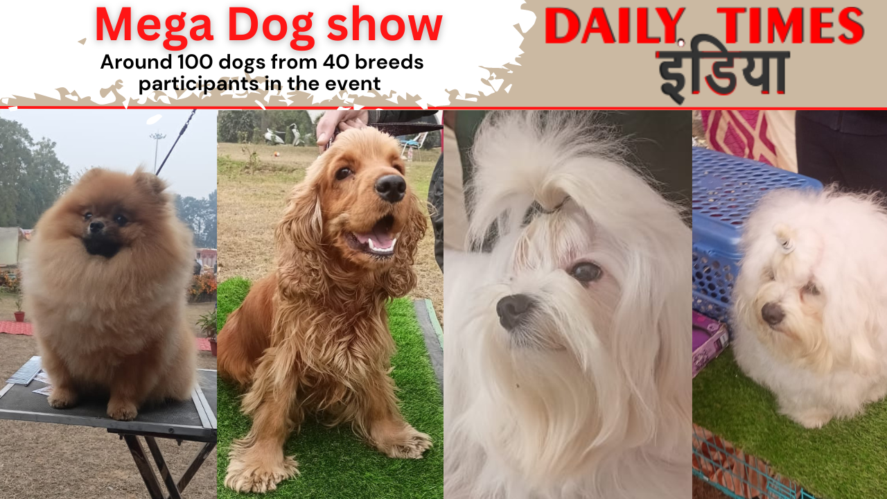 Science City organizes mega Dog show, see pics around 100 dogs to 40 breeds