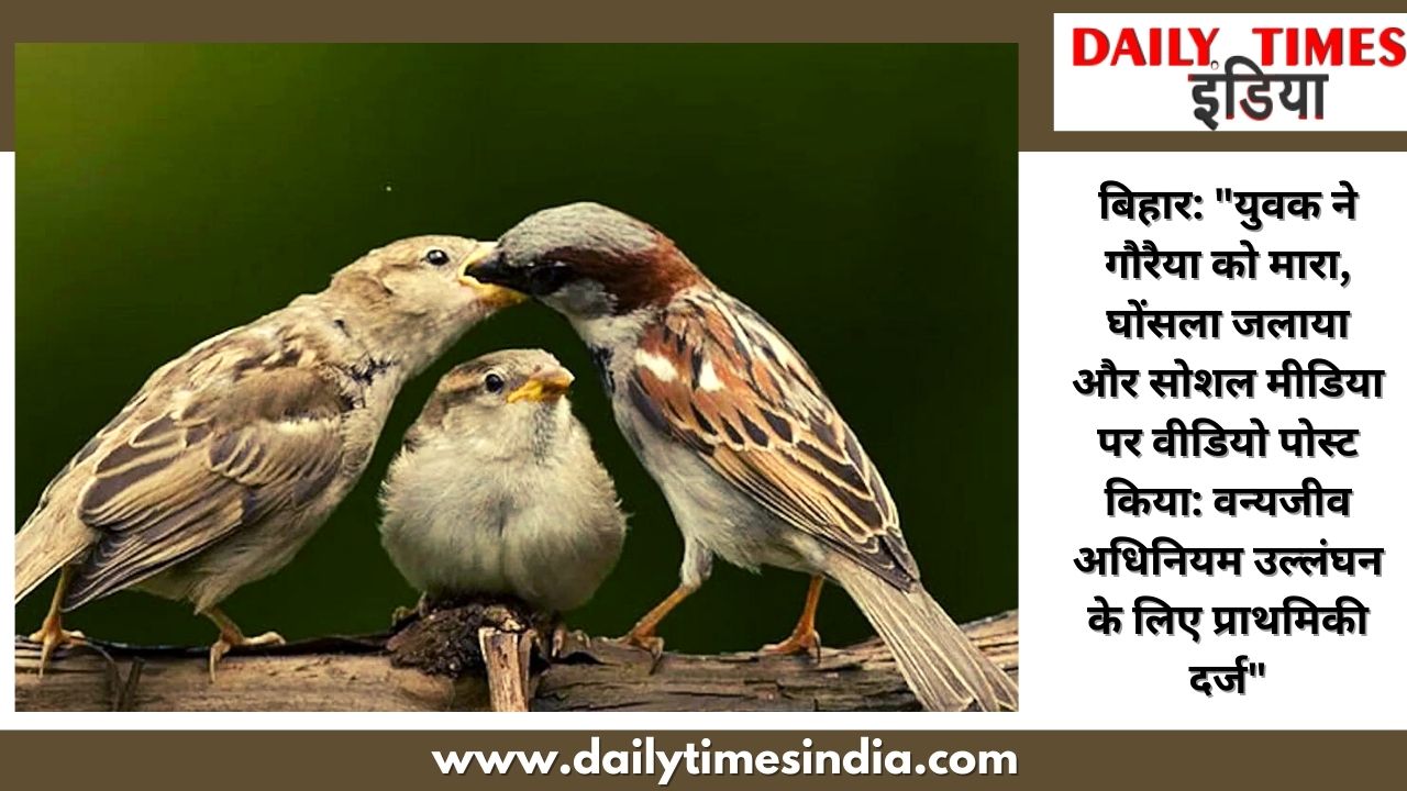 Bihar: “Youth Kills Sparrow, Burns Nest and Posts Video on Social Media: FIR Registered for Wildlife Act Violation”